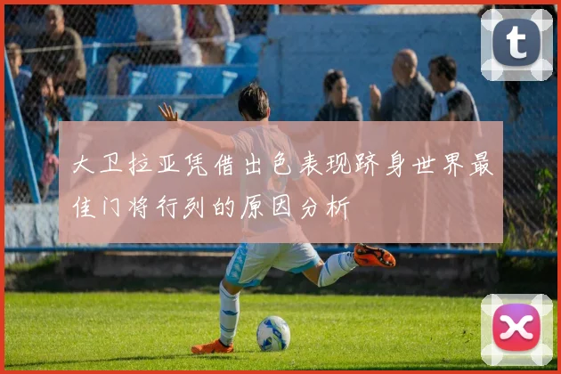 大卫拉亚凭借出色表现跻身世界最佳门将行列的原因分析