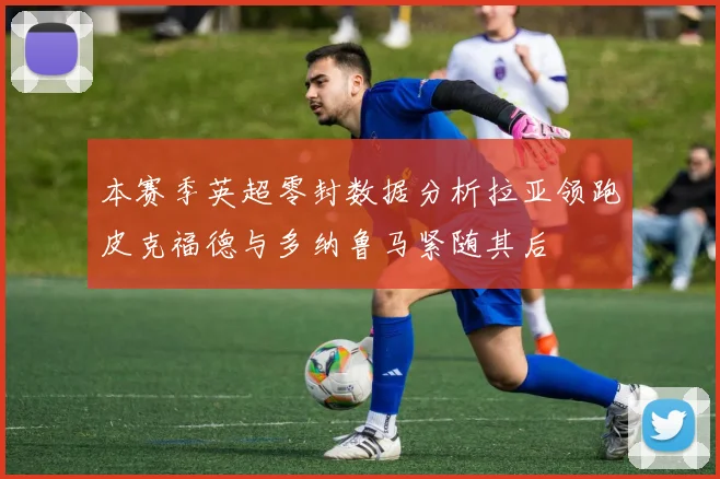 本赛季英超零封数据分析拉亚领跑皮克福德与多纳鲁马紧随其后