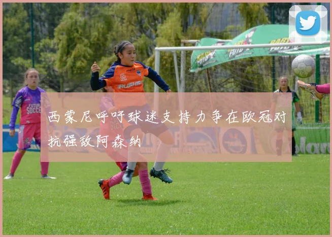西蒙尼呼吁球迷支持力争在欧冠对抗强敌阿森纳