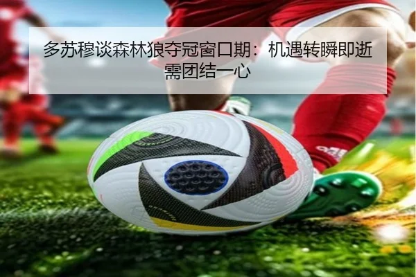 多苏穆谈森林狼夺冠窗口期：机遇转瞬即逝 需团结一心